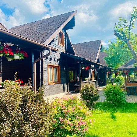 Pensiunea Galileo Borşa Exteriér fotografie