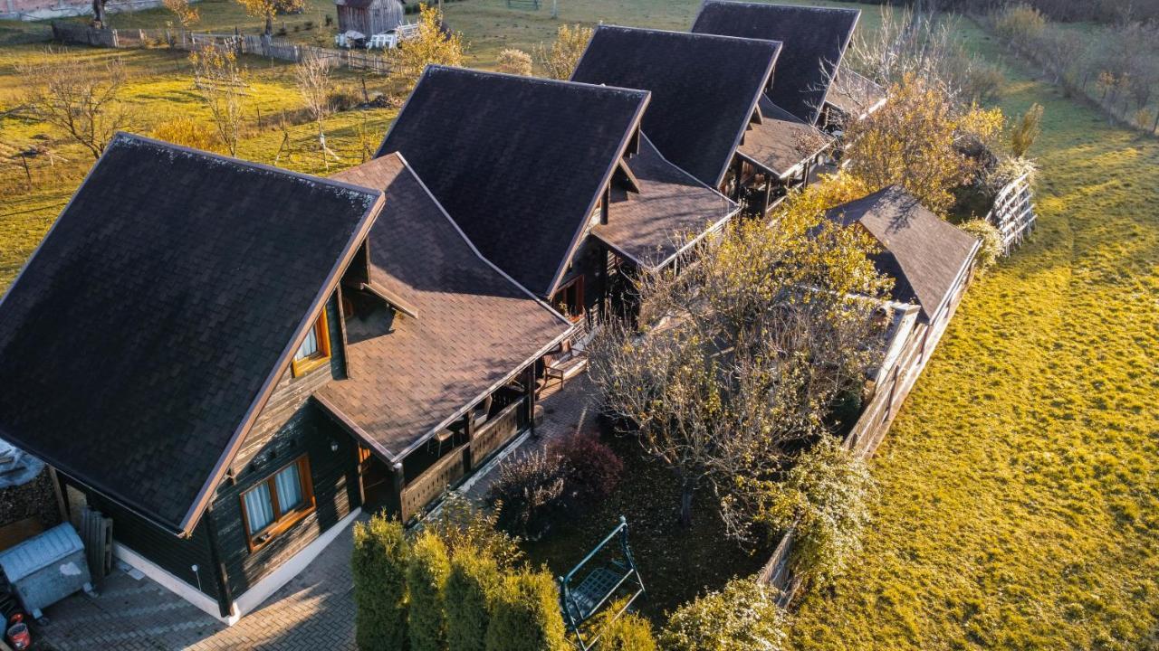 Pensiunea Galileo Borşa Exteriér fotografie