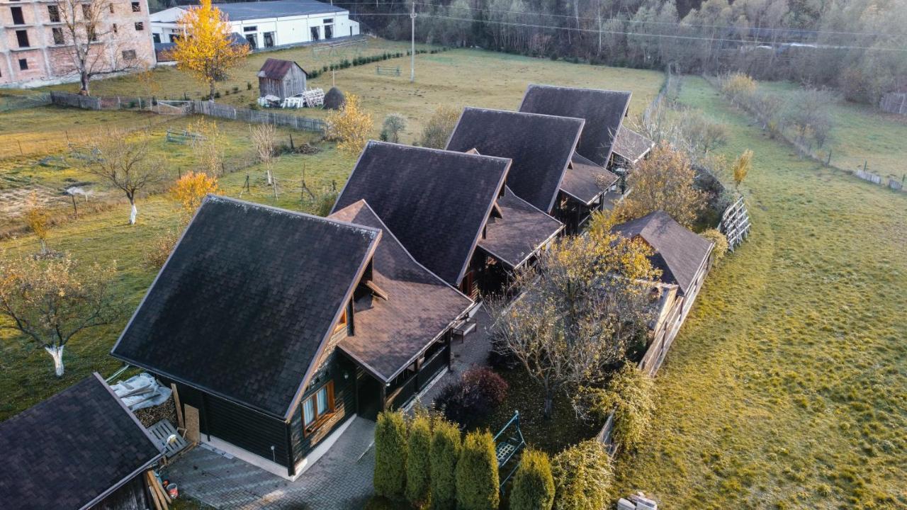Pensiunea Galileo Borşa Exteriér fotografie
